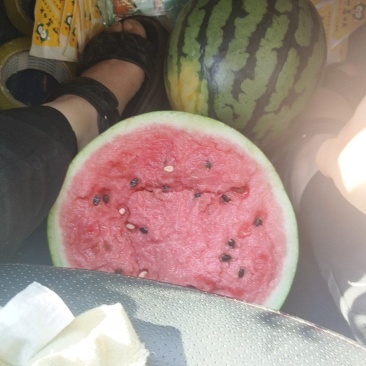 蒲城精品甜王西瓜大量上市，欢迎客商朋友们前来采购