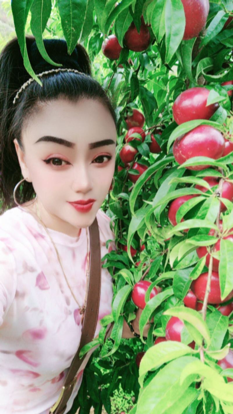 云南建水精品油桃基地果大量有货，看上的老板速联系！