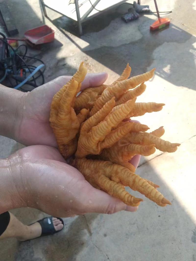 炸凤爪，各大规格炸凤爪，各大，皮酥，适合卤水，餐饮熟食