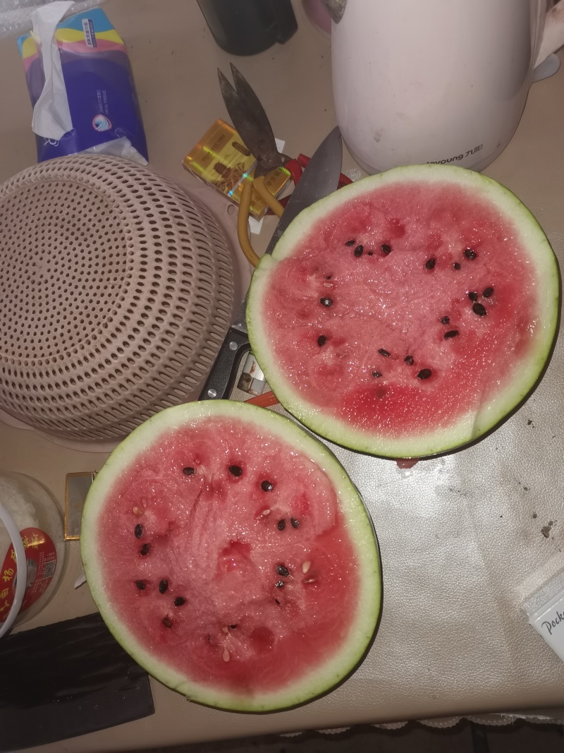 露天麒麟有籽西瓜，个头均匀，糖分12+