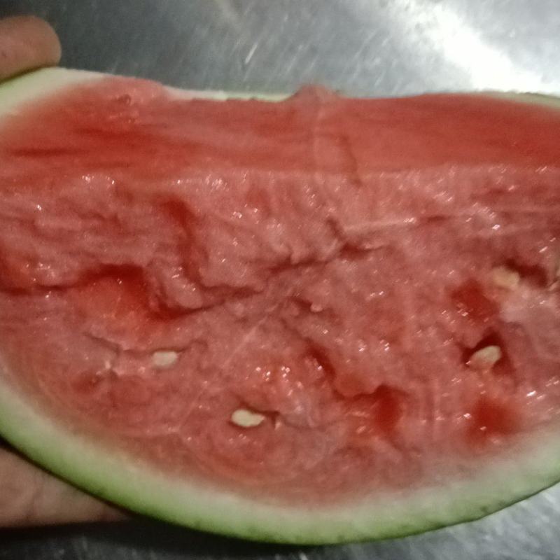 精品美都