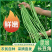新鲜豆角，新鲜采摘，基地直接发货，味道鲜美，欢迎选购。