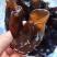 东北柞木黑木耳秋木耳自家种植/质量保证货源充足/量大优惠