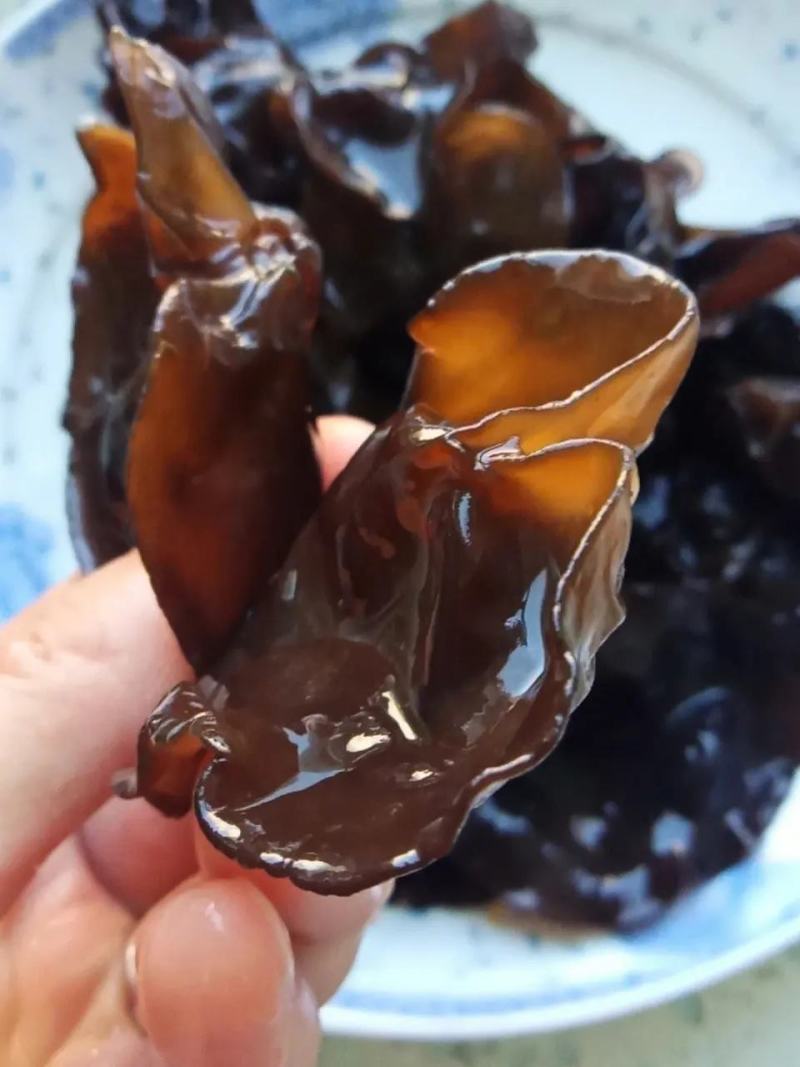 东北柞木黑木耳秋木耳自家种植/质量保证货源充足/量大优惠