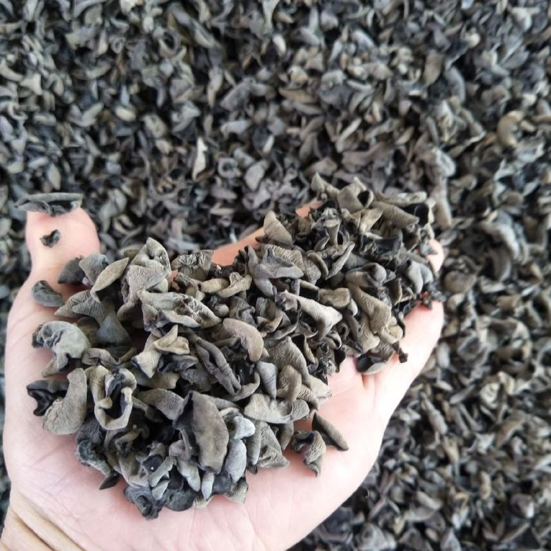 东北柞木黑木耳秋木耳自家种植/质量保证货源充足/量大优惠