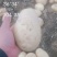 甘肃靖远土豆希森六号黄心黄皮量大从优全国发货联系