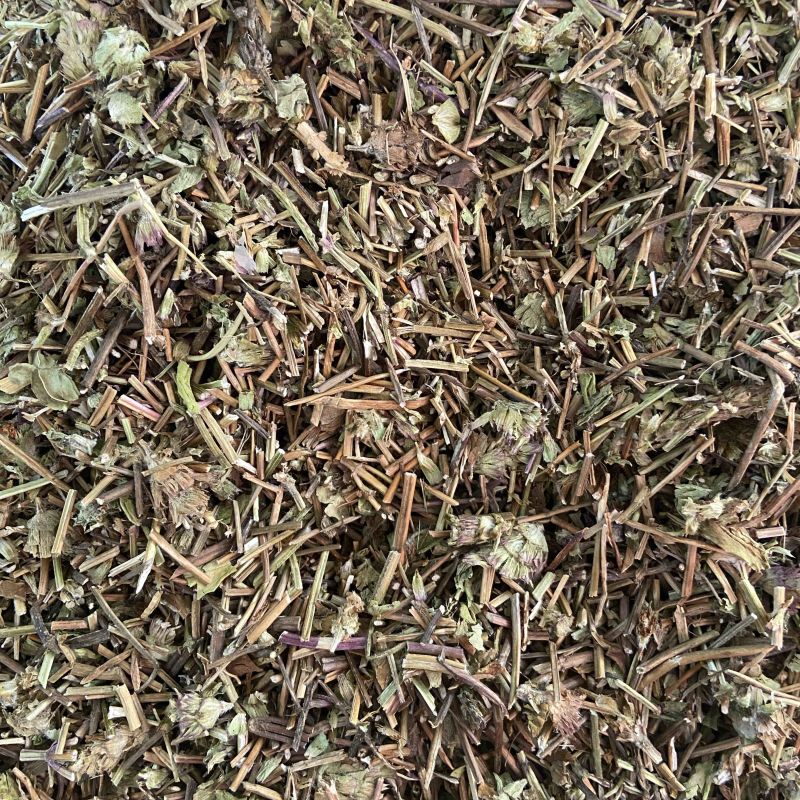 夏枯草