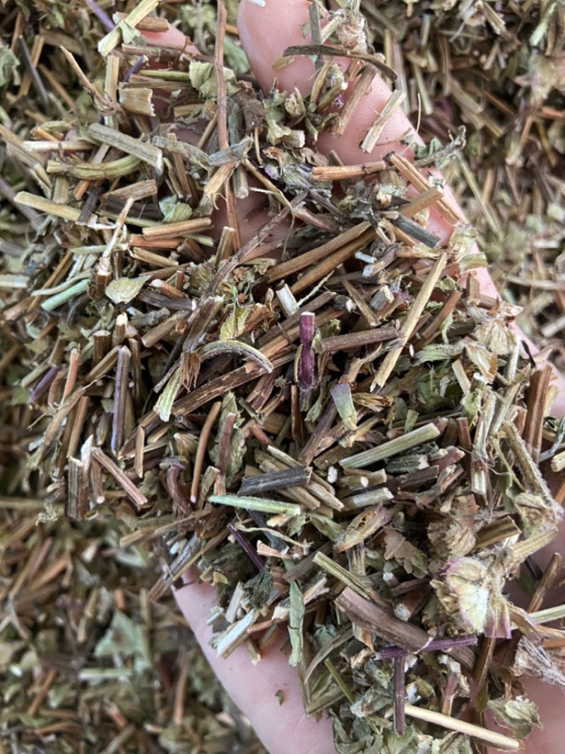 夏枯草