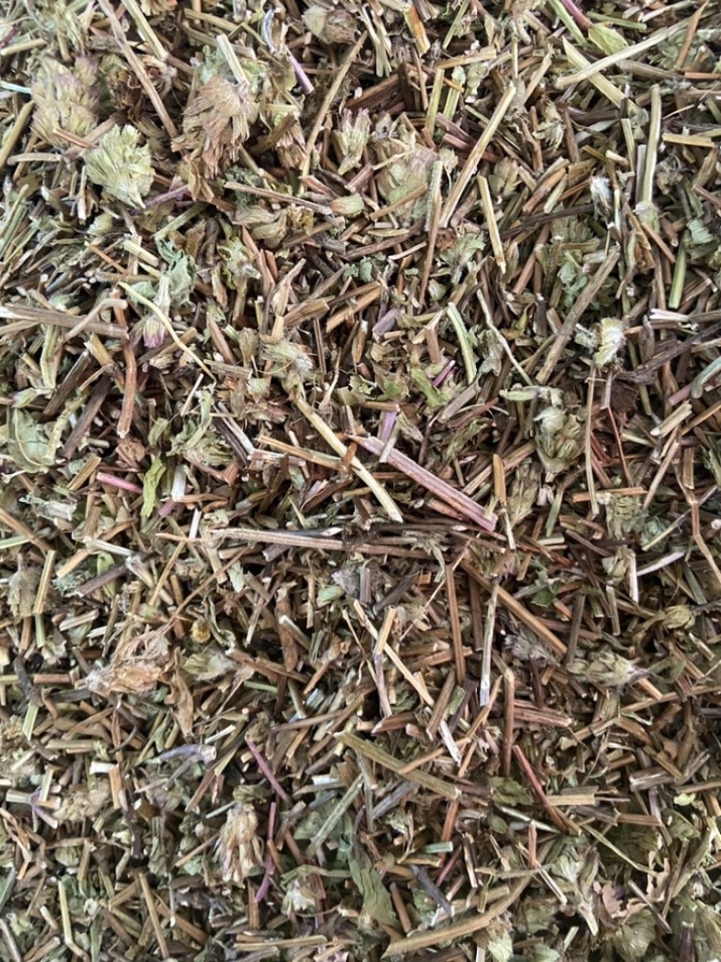 夏枯草