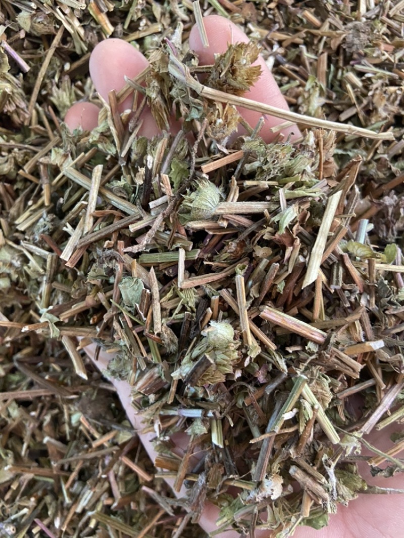 夏枯草