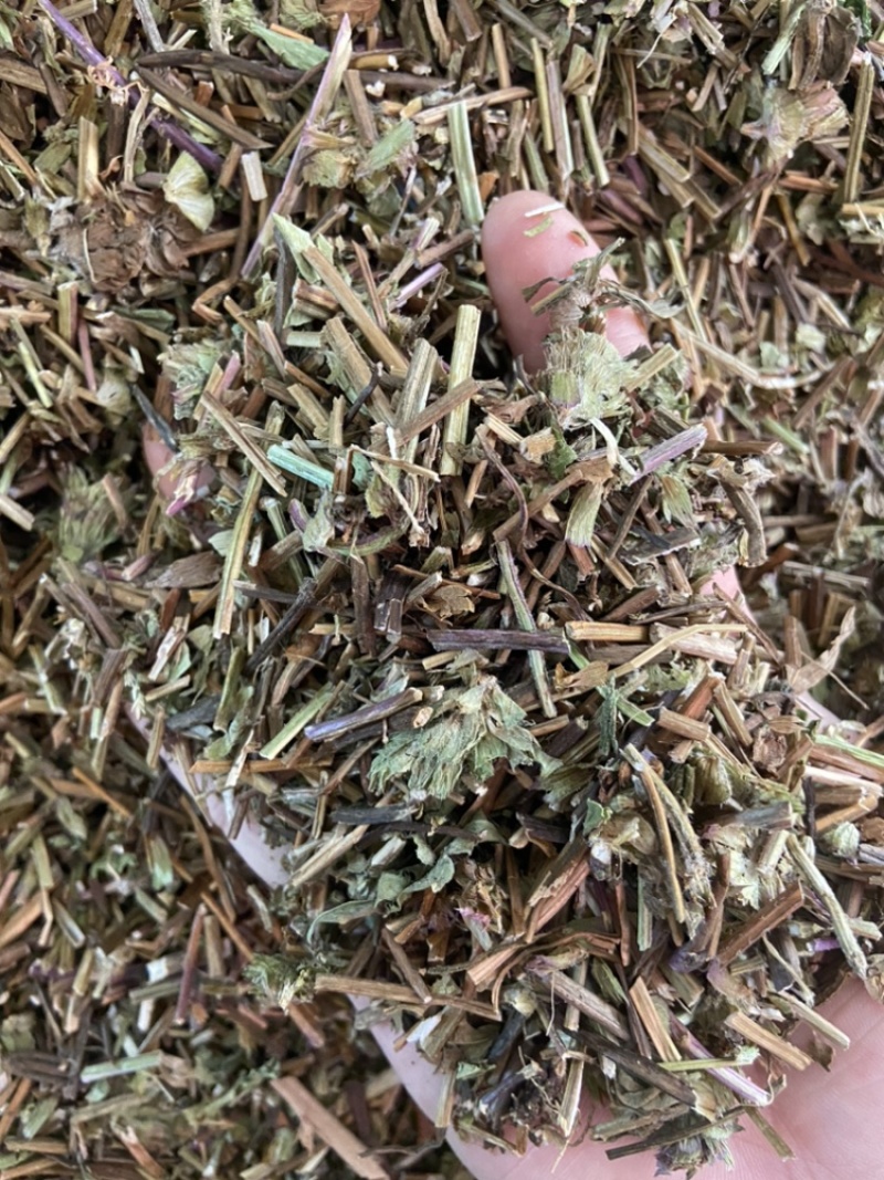 夏枯草