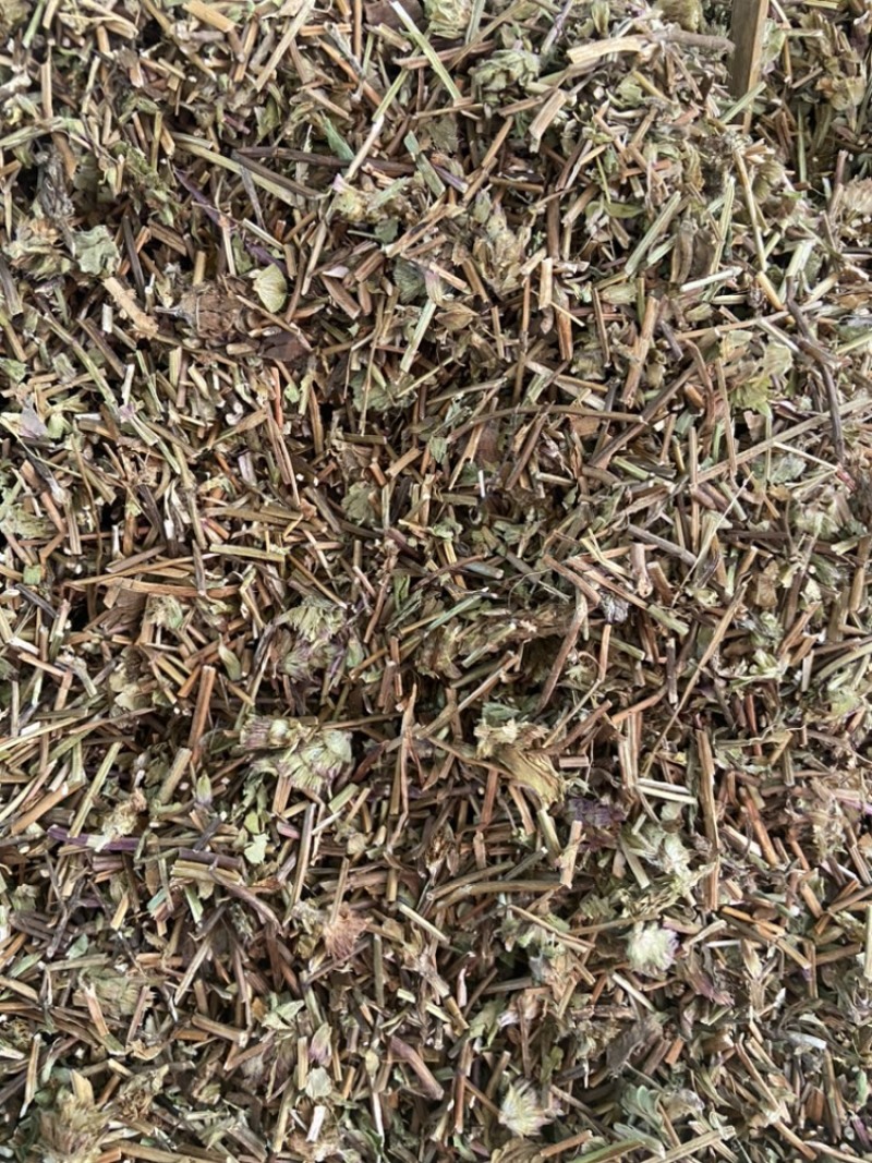 夏枯草