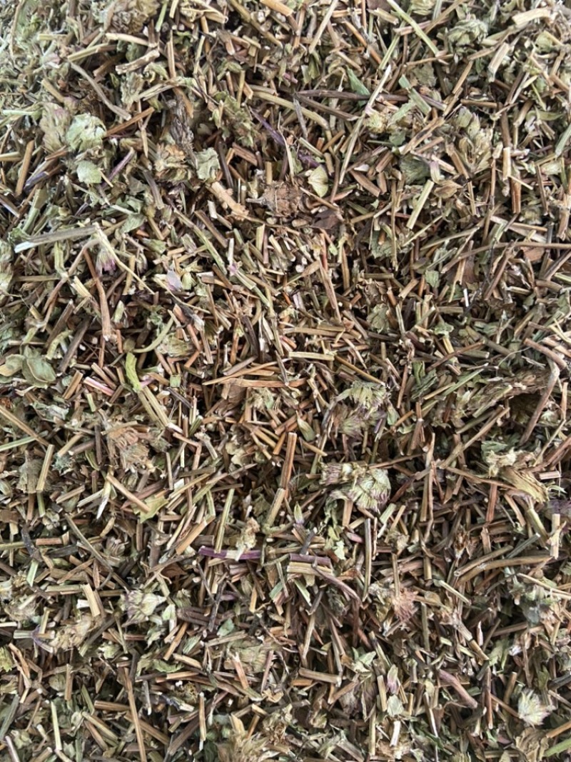 夏枯草