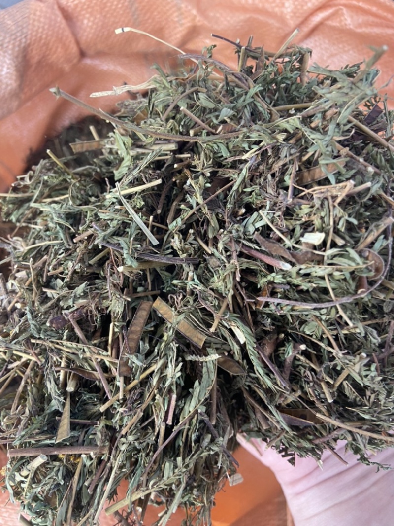 软肝草