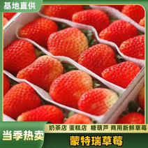 【蒙特瑞草莓】商用新鲜草莓超市烘焙奶茶店糖葫芦均可供货