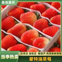 【价格每日随行就市】蒙特瑞草莓一手货源新鲜商用草莓