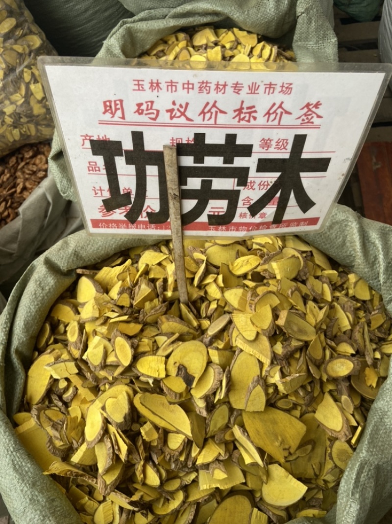 土黄连功劳木