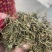 半边莲保庆药业批发半边连颜色青过筛货半边连实拍
