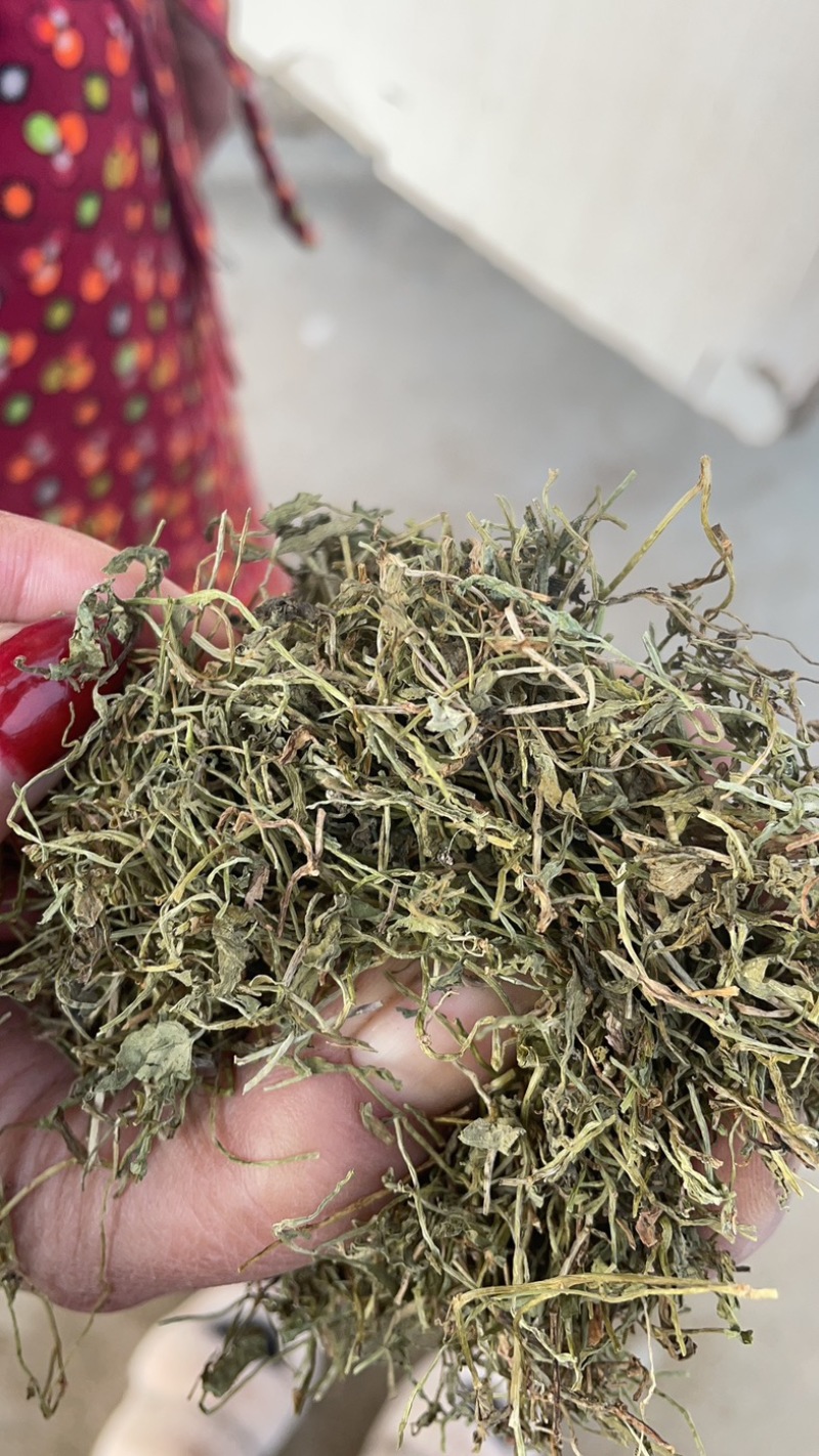 半边莲保庆药业批发半边连颜色青过筛货半边连实拍