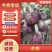 洋葱二红洋葱产地直发可代收入库市场商超均可发货
