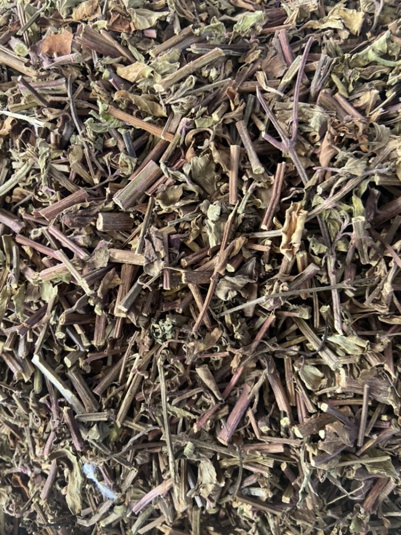 猫须草