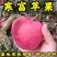 寒富苹果树苗基地现起现发东北耐寒苹果树苗辽宁果树苗