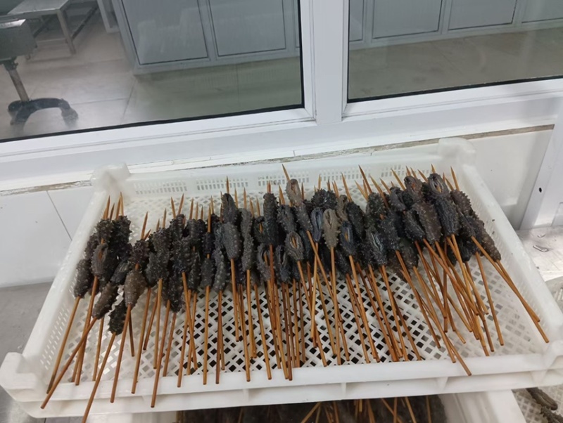 海参串串烧烤串半成品即食海参
