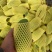 百色芒果一件代发
