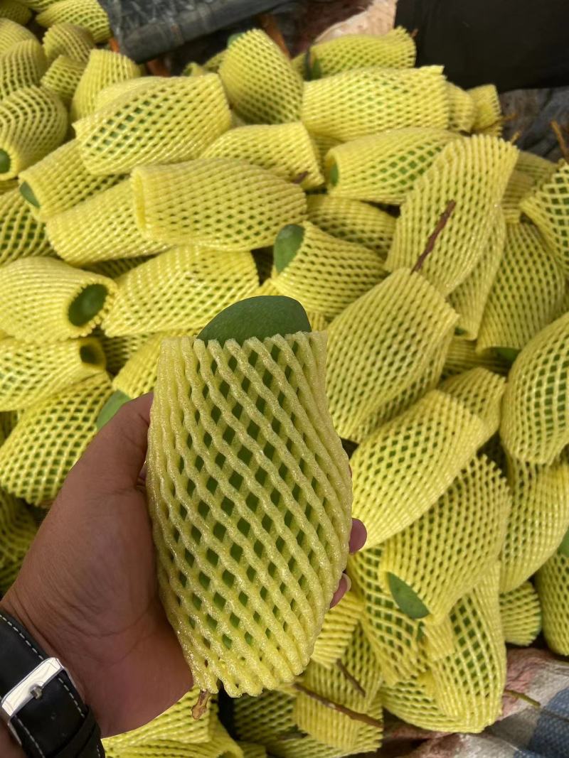 百色芒果一件代发