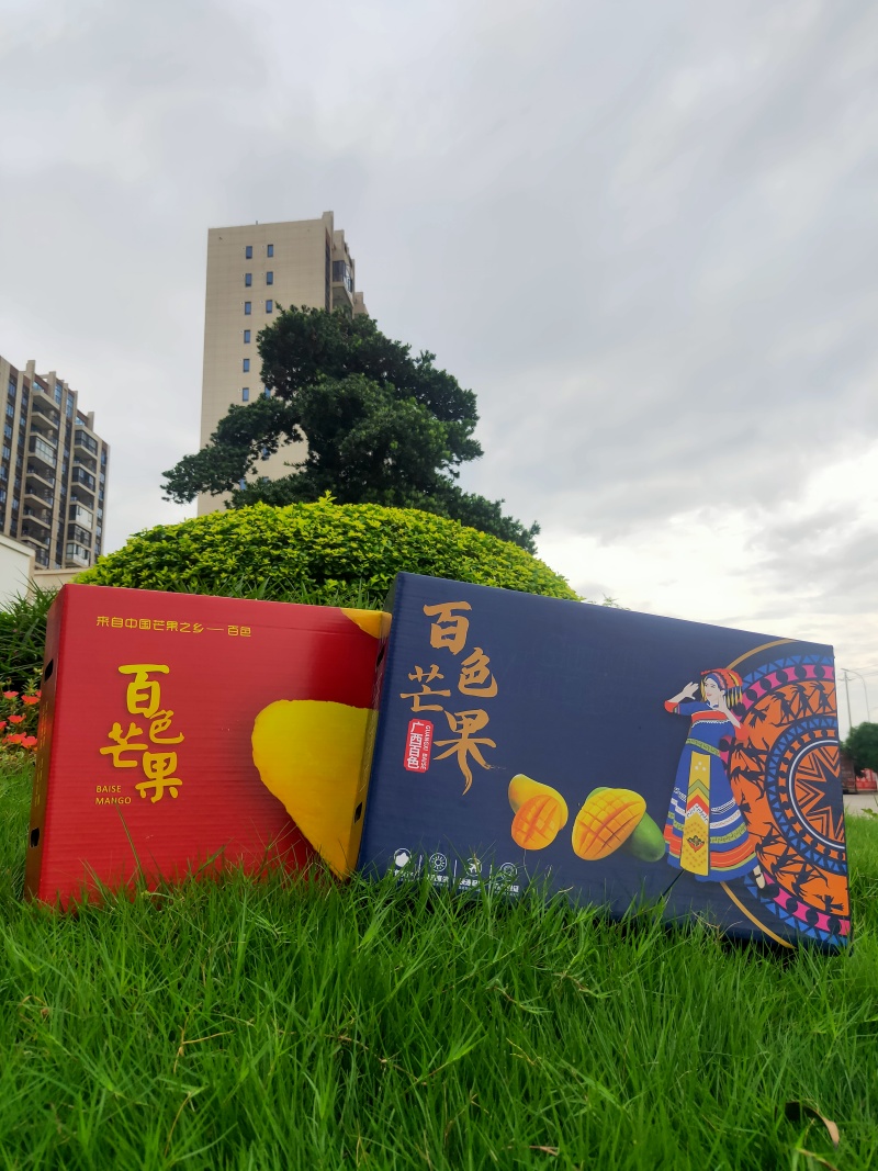 百色芒果一件代发