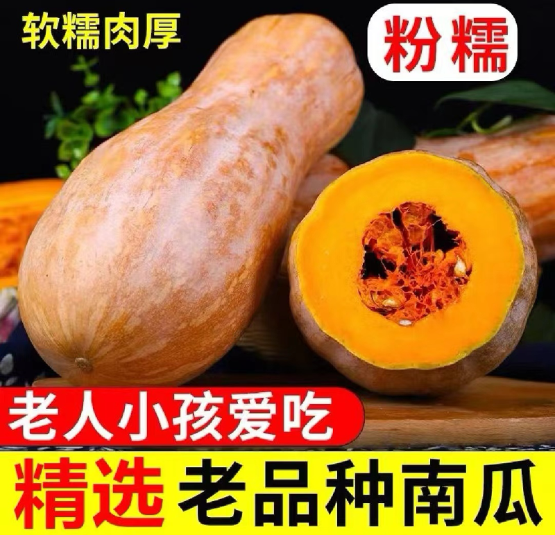 新鲜全黄老南瓜金韩蜜本南瓜电商养殖南瓜工厂南瓜