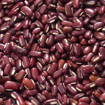赤小豆湘西正宗赤小豆农家自产天然新货小赤豆