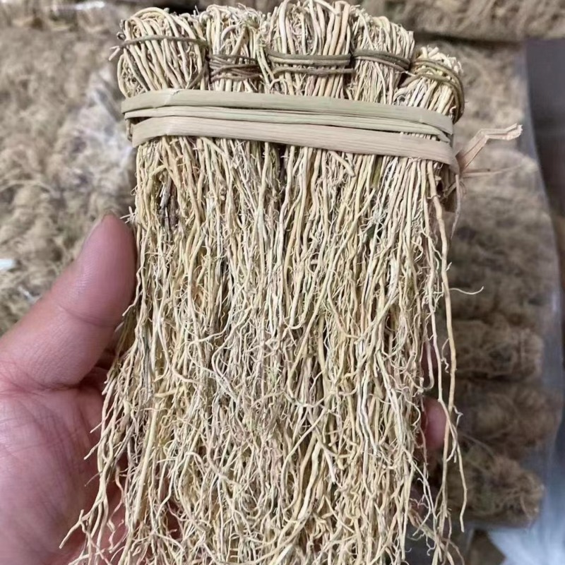 养肝草展会地摊电商养肝草龙须根粤北养肝草