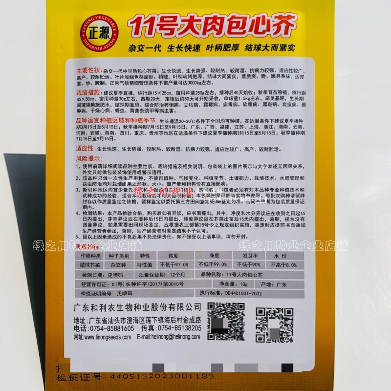 广东大肉包心芥菜种子大号正源11号大肉包心芥菜种籽爽脆嫩
