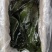 荣成盐渍海带头，水洗精品泡发货，可泡发30斤