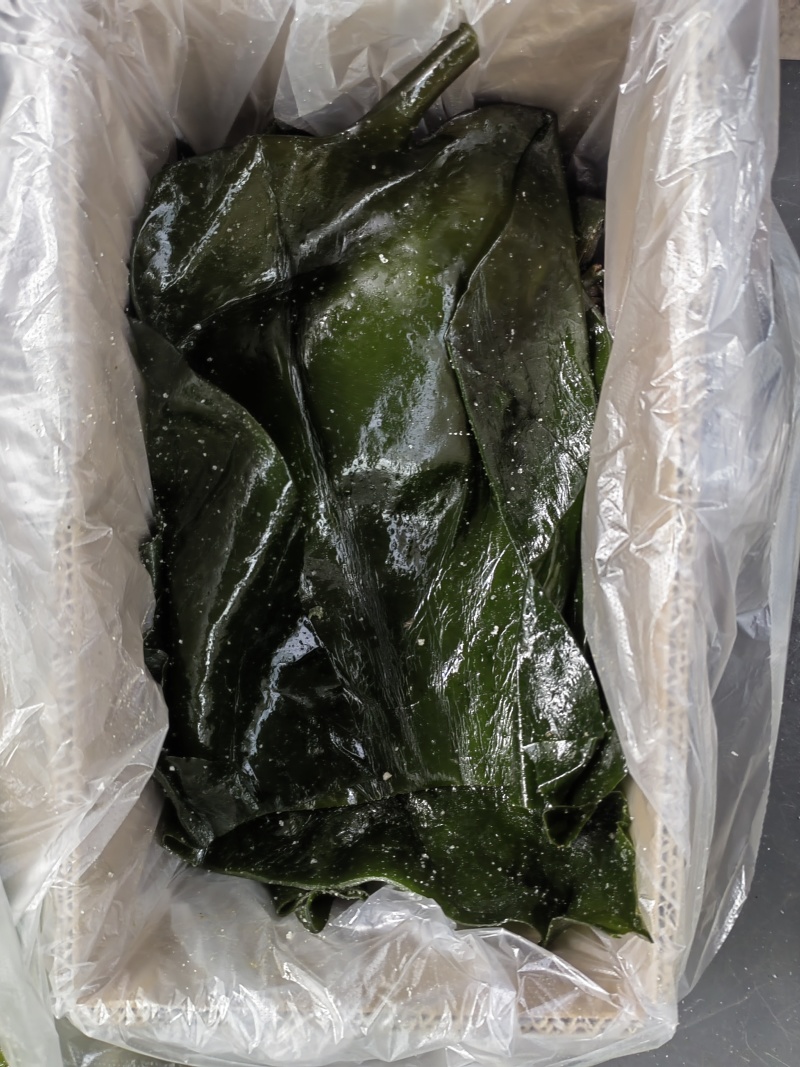 荣成盐渍海带头，水洗精品泡发货，可泡发30斤