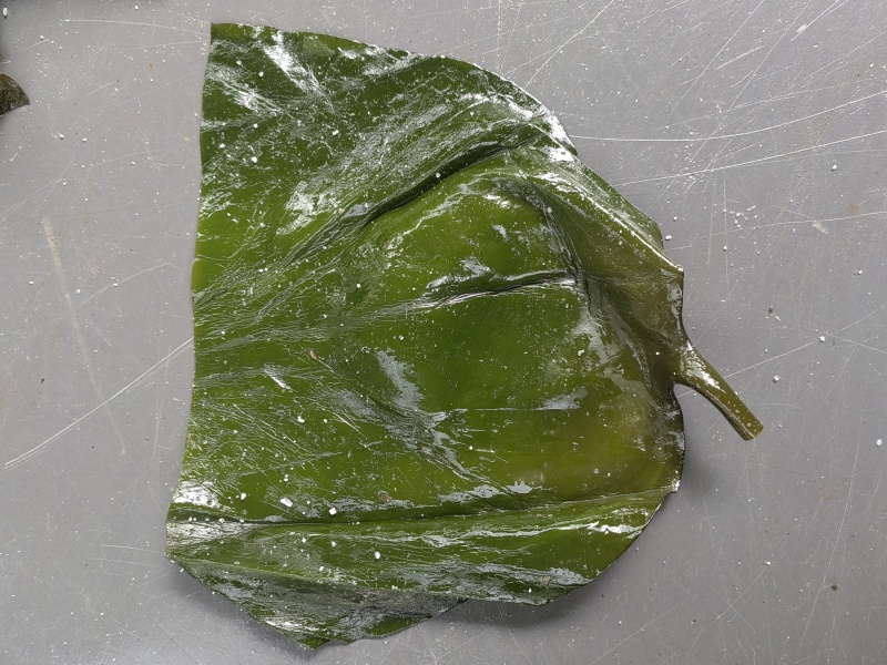 荣成盐渍海带头，水洗精品泡发货，可泡发30斤