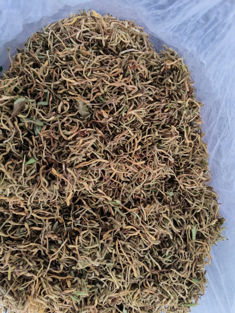 野生大山里的金银花