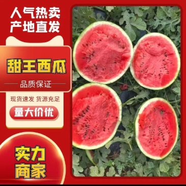 山东精品甜王西瓜大量现货产地现摘纯大红瓤可代发货欢迎订购