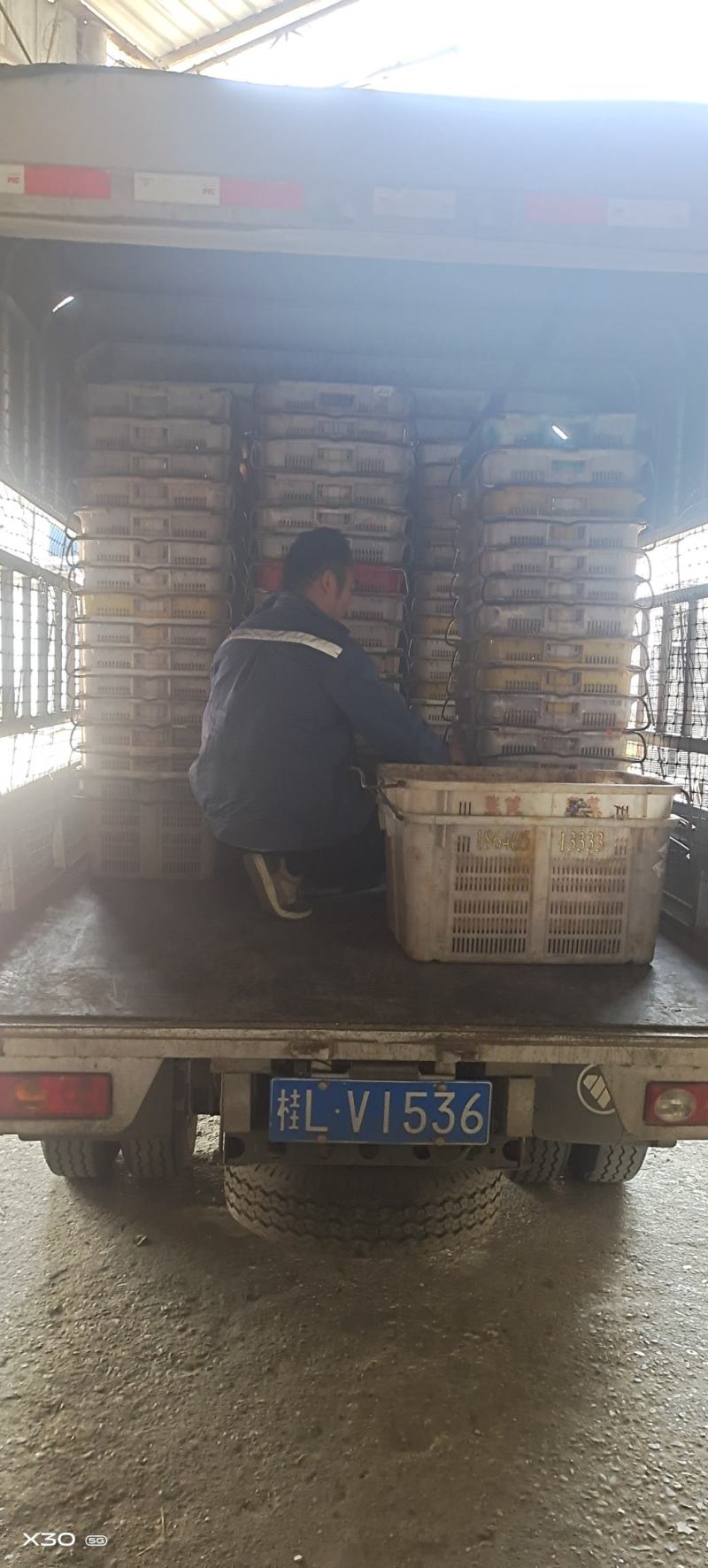 大号蔬菜筐，周转筐