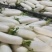 自种1000亩白萝卜现挖水洗白萝卜