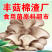 棉籽壳，玉米芯，棉渣，麸皮，豆粕，豆饼，豆渣：豆粉，棉粕