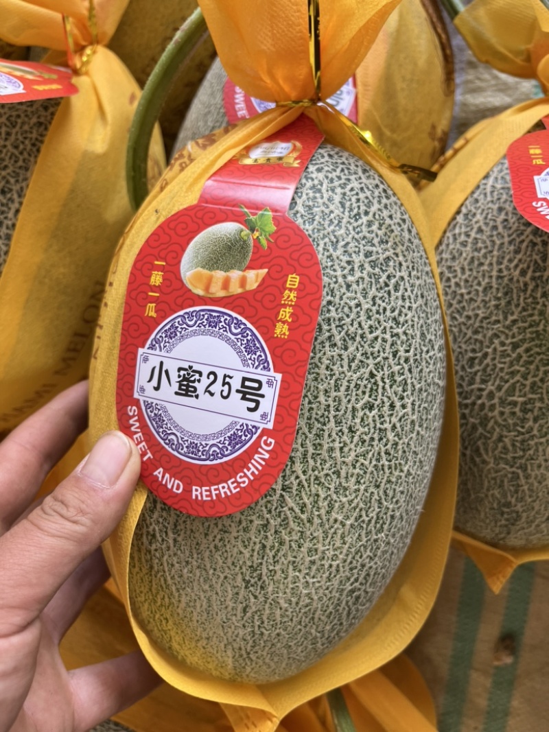 【哈密瓜】晓蜜25耀龙25产地直发代收