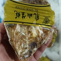 精品生蚝，大量有货，欢迎各位老板咨询采购