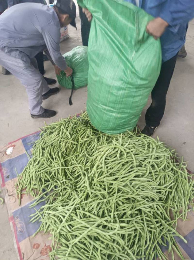 产地直发架豆王豆角，农家自产，甜脆可口，当季特价！