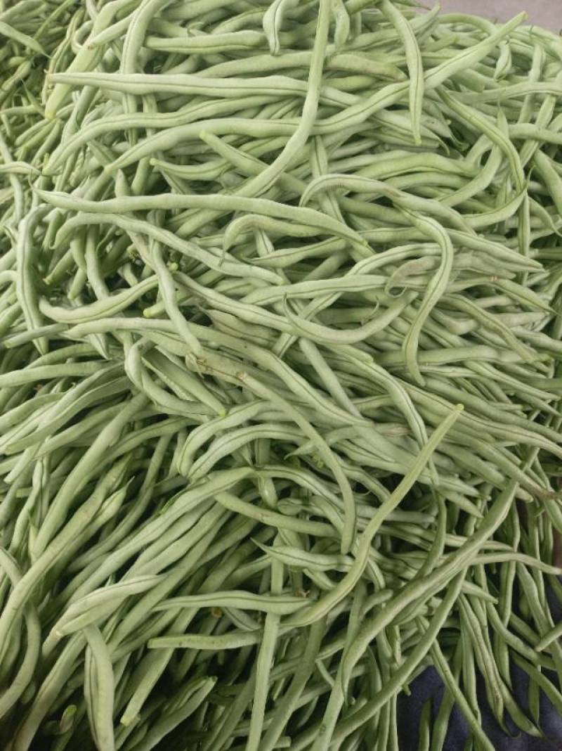 产地直发架豆王豆角，农家自产，甜脆可口，当季特价！