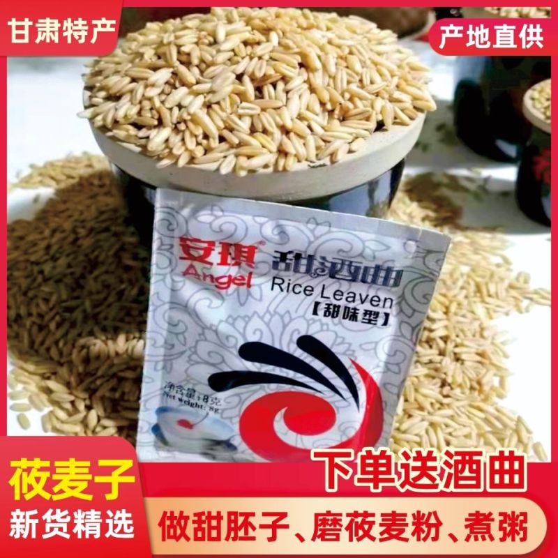 莜麦子甜胚子莜麦米甘肃特产会宁特产旱地莜麦甜醅子材料杂粮