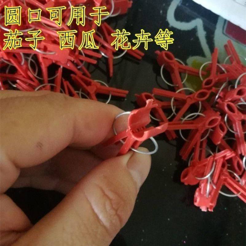 农用蔬菜嫁接夹黄瓜西瓜苦瓜辣椒茄子西红柿熟料可多次使用