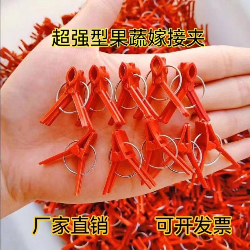 农用蔬菜嫁接夹黄瓜西瓜苦瓜辣椒茄子西红柿熟料可多次使用