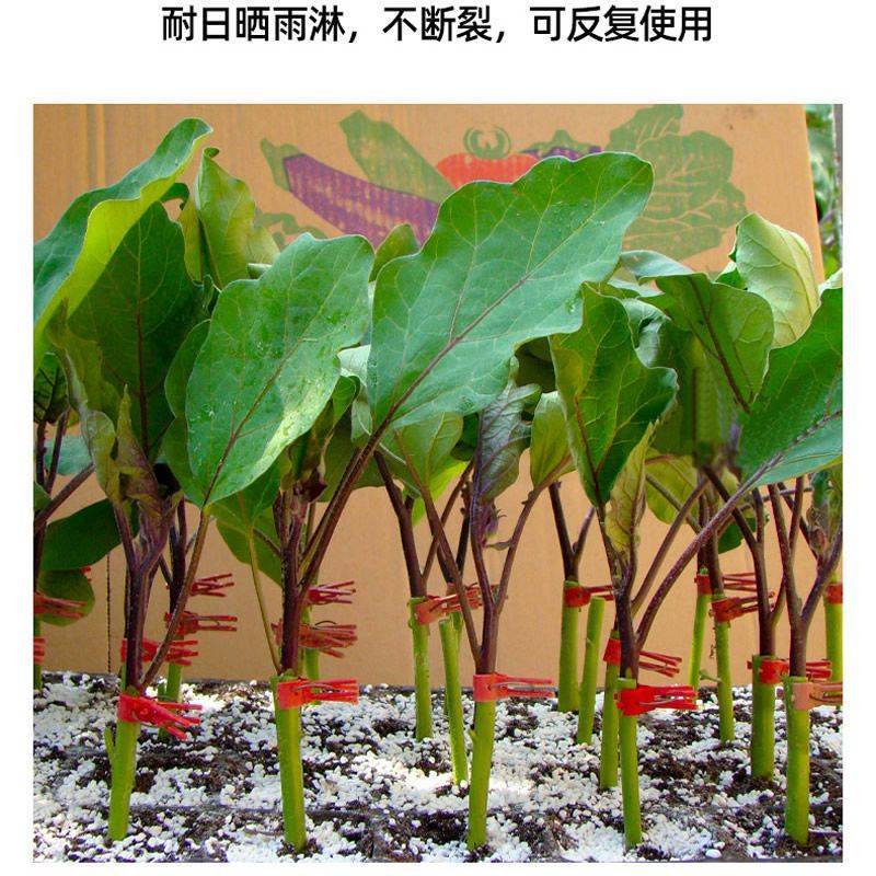 农用蔬菜嫁接夹黄瓜西瓜苦瓜辣椒茄子西红柿熟料可多次使用